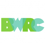 Site icon for Brooklyn Waterfront Research Center